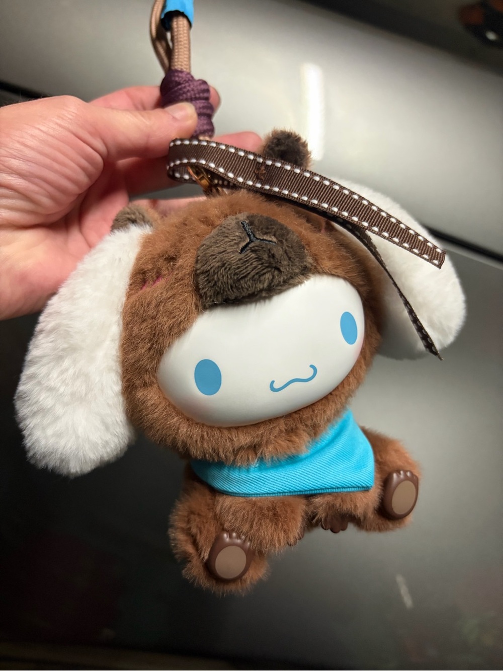 Cool Capybara Sanrio collection.